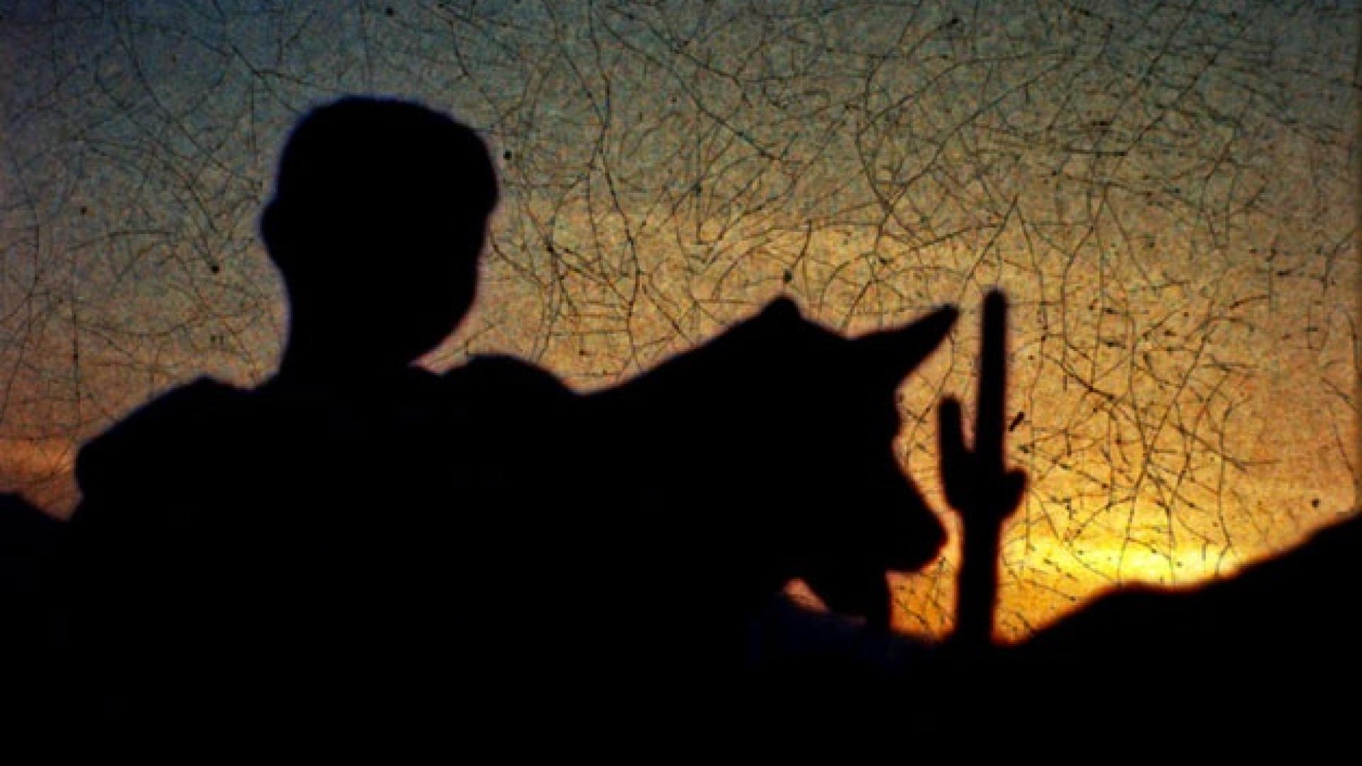 Visuel - Journal d'Amérique - Silhouette