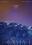Soixante-sept millisecondes © Darjeeling / Square Eyes